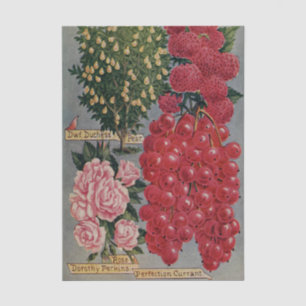 Papel De Seda Catálogo de semillas vintage frutas y flores 