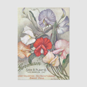 Papel De Seda Catálogo de semillas vintage Germain, 1910, Sweet