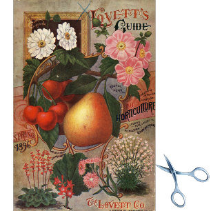 Papel De Seda Catálogo de semillas vintage Guía de Lovett Primav