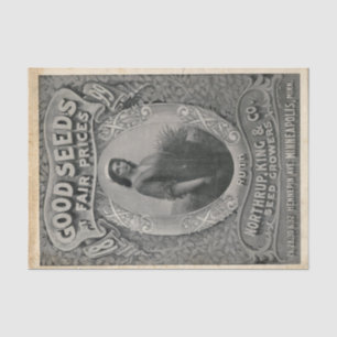 Papel De Seda Catálogo de semillas vintage Northrup King Seed 18