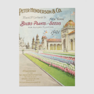 Papel De Seda Catálogo de semillas vintage Peter Henderson 1901