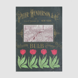 Papel De Seda Catálogo de semillas vintage Peter Henderson, 1901