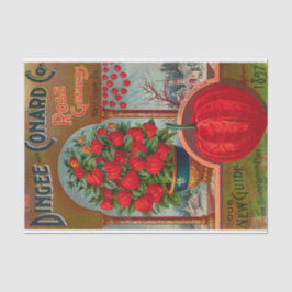 Papel De Seda Catálogo de Semillas Vintage Productores de Rosas 