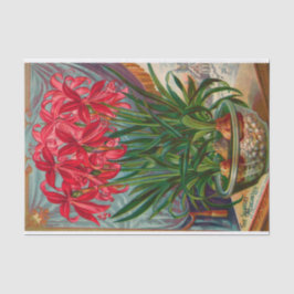 Papel De Seda Catálogo de Semillas Vintage The Scarlet Mexican L