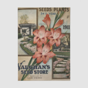 Papel De Seda Catálogo de semillas vintage Vaughn's Store 1911 G