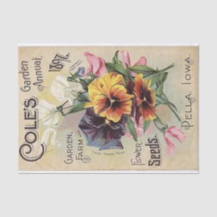 Papel De Seda Catálogo de Vintage de Flores de Cole's Garden anu