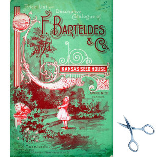 Papel De Seda Catálogo Vintage de semillas Barteldes Kansas Seed