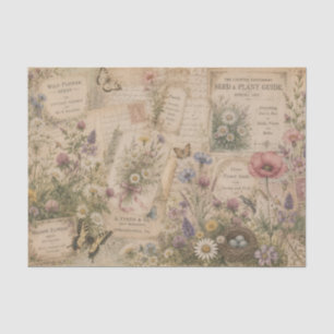 Papel De Seda Catálogos de semillas de flores silvestres de prad