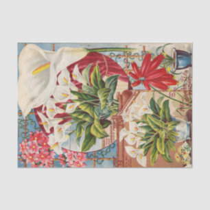 Papel De Seda Catálogos de semillas vintage Callas y Jacintos