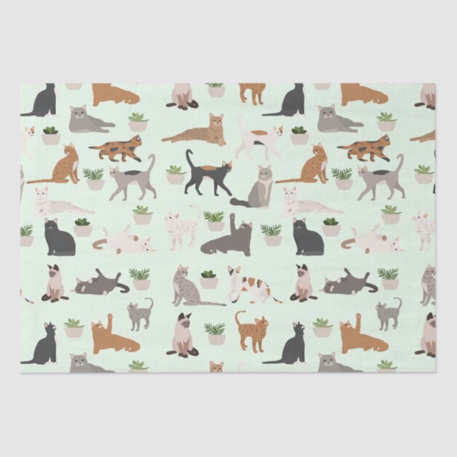 Papel De Seda Cats y plantas domésticas desconchadas (Anverso)