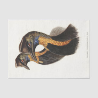 Papel De Seda Causas boreales, descomposición de aves vitícolas