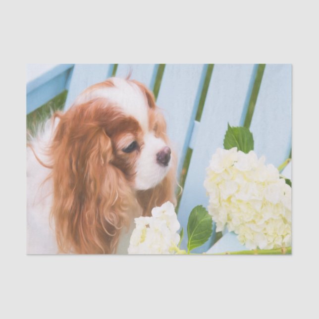 Papel De Seda Cavalier King Charles Spaniel Con Hydrangeas (Anverso)