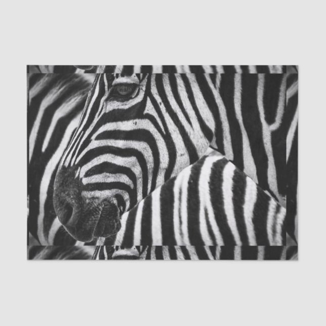 Papel De Seda Cebra blanco y negro enrrollada (Anverso)
