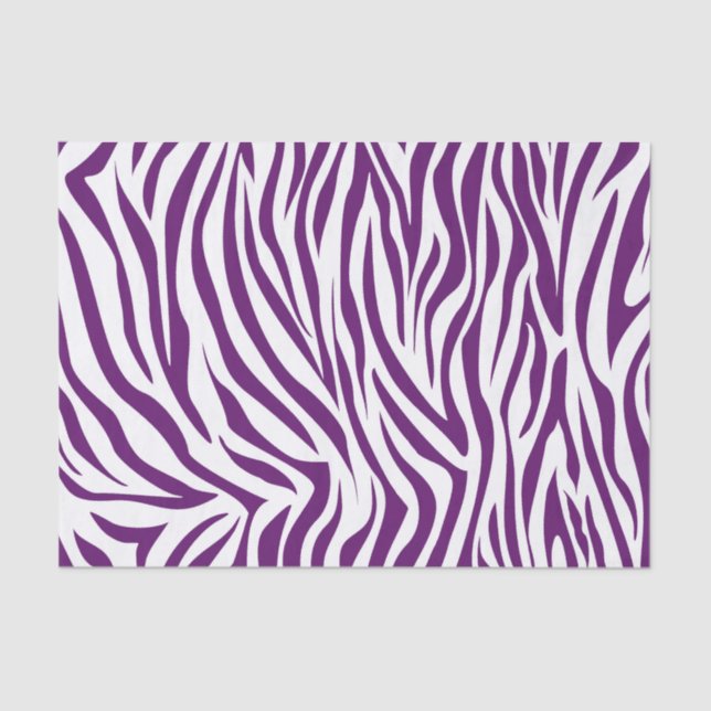 Papel De Seda Cebra del safari de la violeta africana (Anverso)
