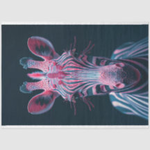 Cebra rosa brillante de otra descomposición mundia