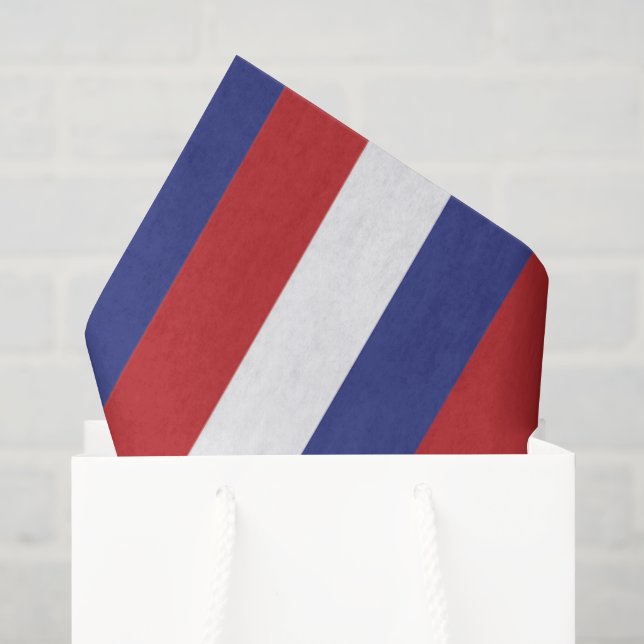 Papel De Seda Celebración del 4 de julio (Bolsa de regalo)