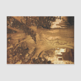 Papel De Seda Cementerio Vintage Sepia Hoja de Árbol