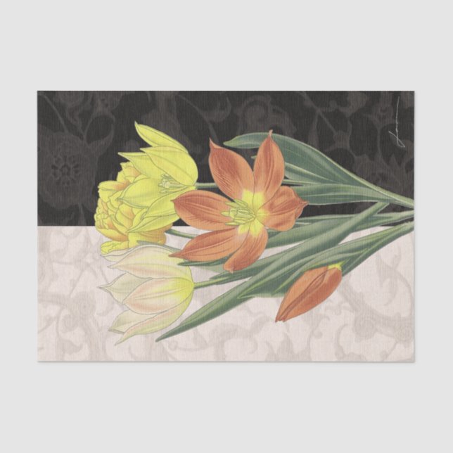 Papel De Seda Centro II (Anverso)