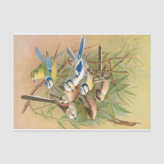 Papel De Seda Cepillo azul euroasiático y cola larga, Desnupage (Anverso)