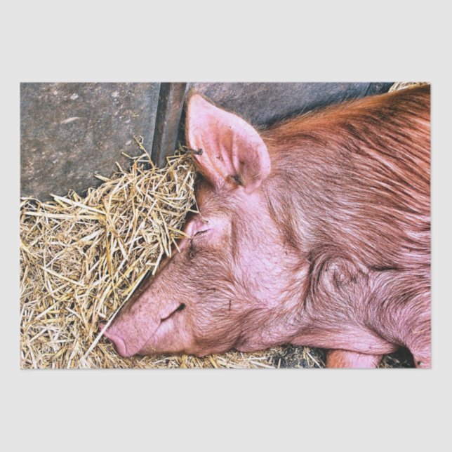 PAPEL DE SEDA CERDO CUTIDO (Anverso)