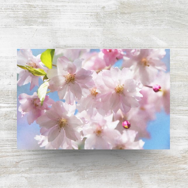 Papel De Seda Cerezos en primavera (Subido por el creador)