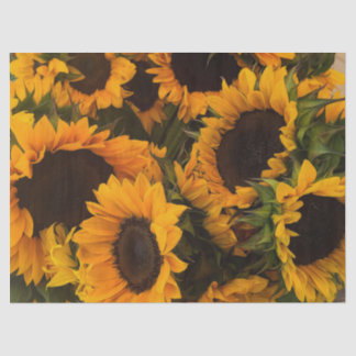 Papel De Seda Cesta del girasol