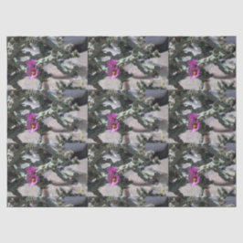 Papel De Seda Challa Cactus en floración