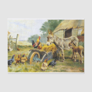 Papel De Seda Charla de aves de Herbert William Weekes