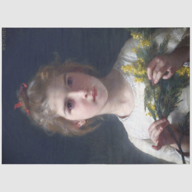 Papel De Seda Chica con Mimosa, Bouguereau (Anverso)