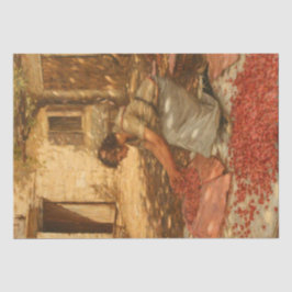 Papel De Seda Chica Packing Cherries en Provenza (Francia)