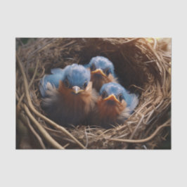 Papel De Seda Chicas