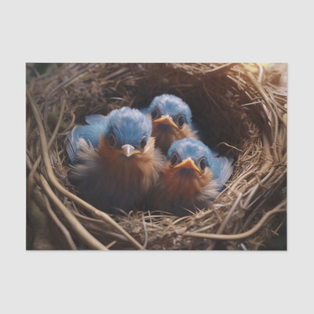 Papel De Seda Chicas (Anverso)