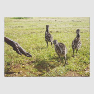 Papel De Seda Chicas De Bebé Y Pie Grande,