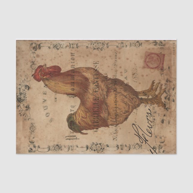 Papel De Seda Chicken Scratch (Anverso)