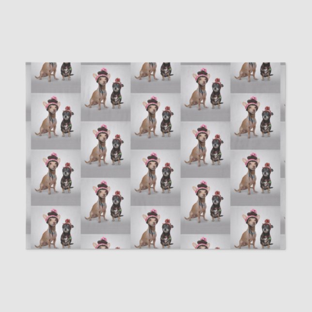 Papel De Seda Chihuahua (Anverso)