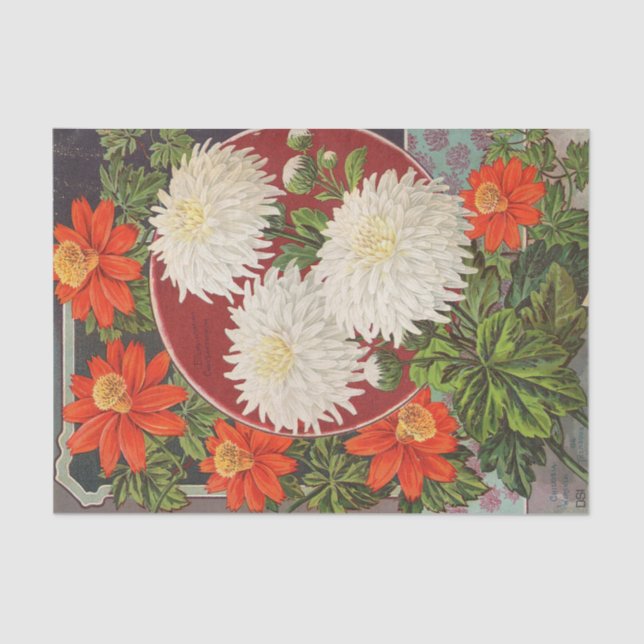 Papel De Seda Chrysanthemus del catálogo de semillas de época (Anverso)