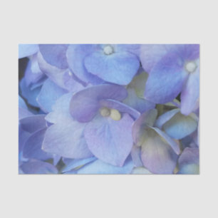 Papel De Seda cierre de flor de hidrangea azul