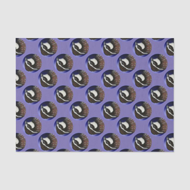Papel De Seda Círculo de Cabeza de Codorniz Bobwhite (Anverso)