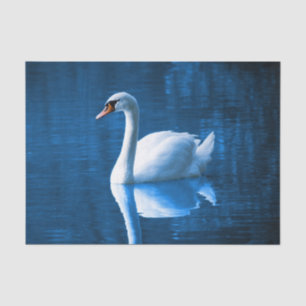Papel De Seda Cisne blanco hermoso en agua