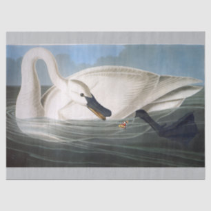Papel De Seda Cisne Trompetero Blanco Salvaje Vintage Decoupage