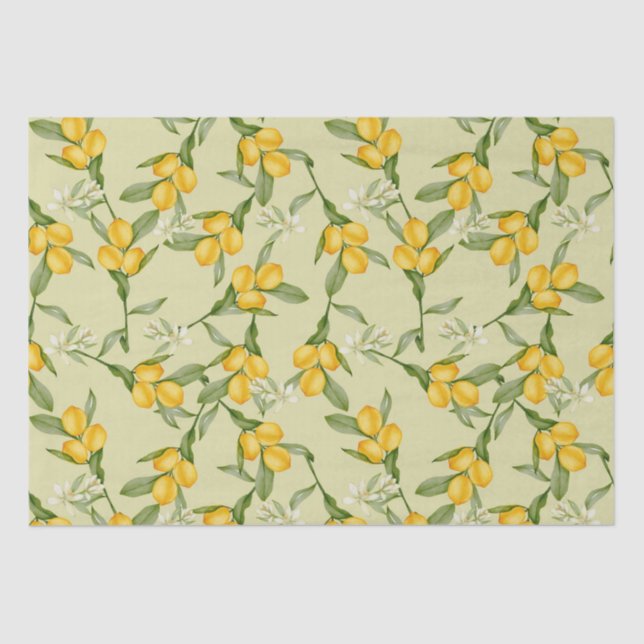 Papel De Seda Citrus (Anverso)