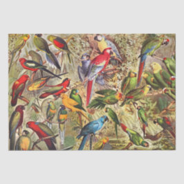 Papel De Seda Clásica Vintage Tropical Birts Parrots Decoupage