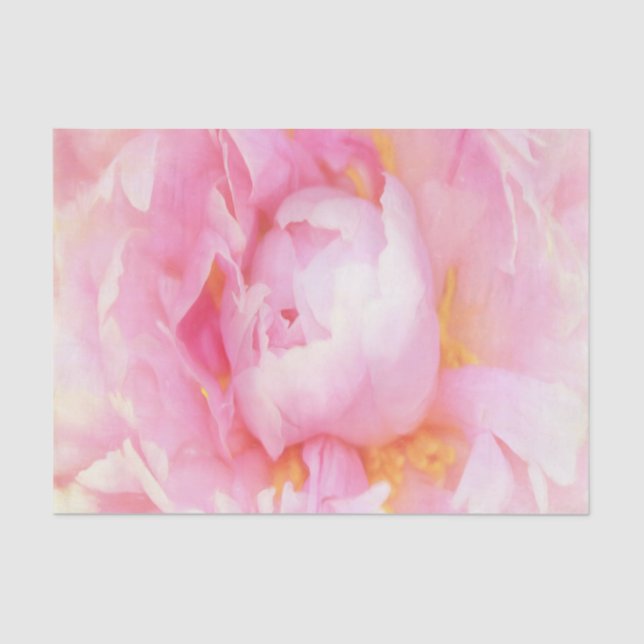 Papel De Seda Clausura de Pink Peony (Anverso)