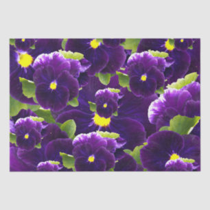 Papel De Seda Clusters de Pansy Púrpura Profundo: Belleza Majest