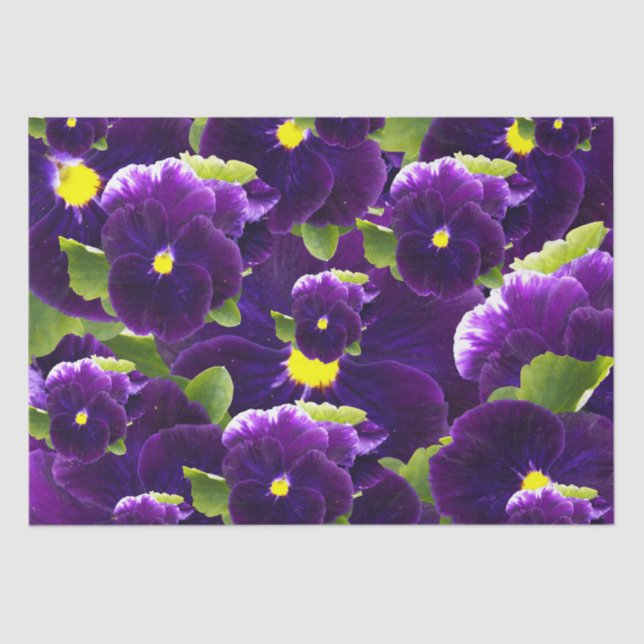 Papel De Seda Clusters de Pansy Púrpura Profundo: Belleza Majest (Anverso)