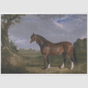 Papel De Seda Clydesdale Stallion (Caballo tostado) (Animal)