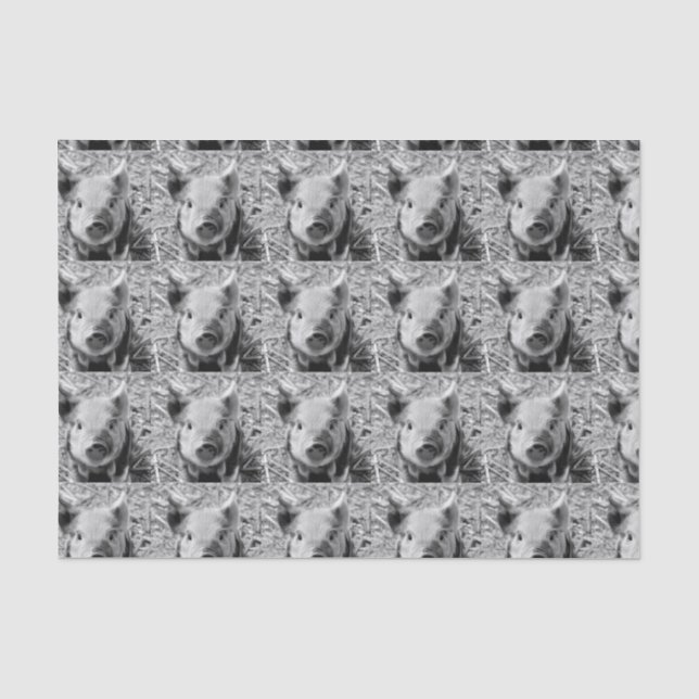 Papel De Seda cochinillo dulce, blanco negro (Anverso)
