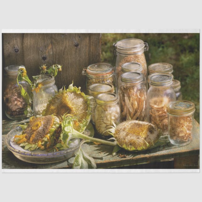 Papel De Seda Cocina - Salvando semillas (Anverso)