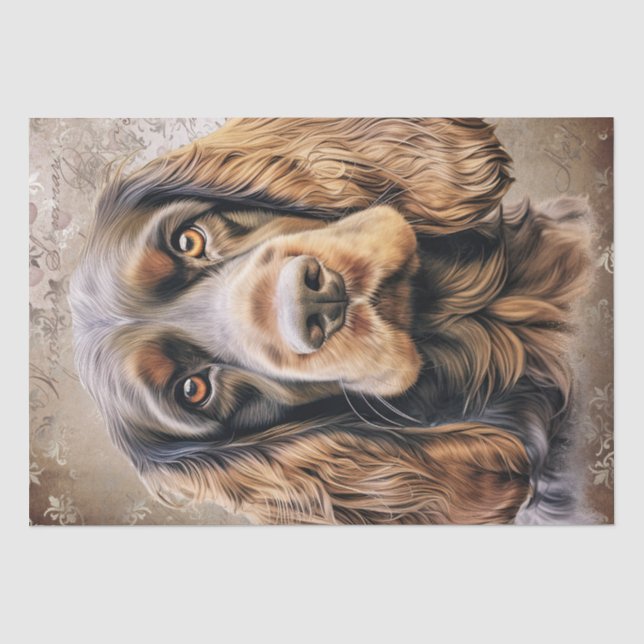Papel De Seda Cocker español Perro inglés (Anverso)