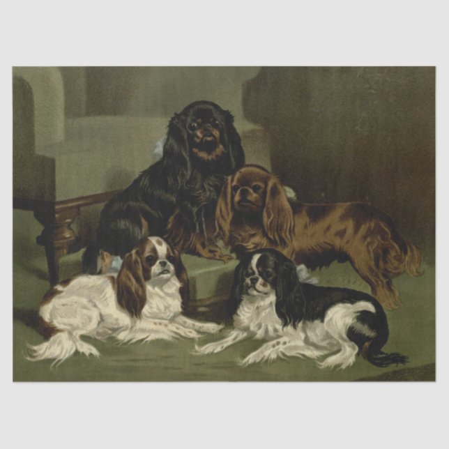Papel De Seda Cocker Spaniels vintage (Anverso)